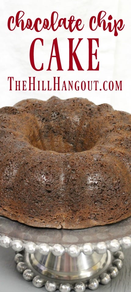 Chocolate Chip Cake from TheHillHangout.com