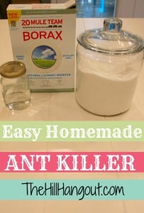 alt="best homemade ant killer"