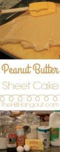 Peanut Butter Sheet Cake from TheHillHangout.com