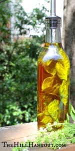 Make Your Own Flavored Cooking Oil