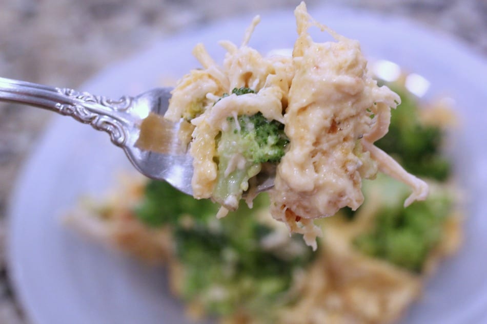 Chicken and Broccoli Casserole from TheHillHangout.com