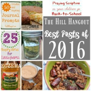 Best Posts of 2016 from TheHillHangout.com